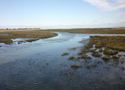 Completed Wetlands Restoration September 2010