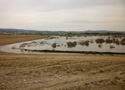 wetlands restoration